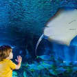 SEA LIFE Manchester Admission Ticket