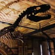 Natural History Museum