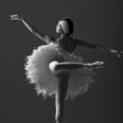 Ballet Technique and Flexibility Class