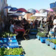 Favela De Paraisópolis em grupo: tradicional feijoada com samba