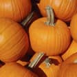 Cuenta atrás para Halloween 9