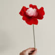 Taller infantil para celebrar Sant Jordi en Jardinet del Born