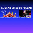 ﻿Great flea circus at Sala 0 Madrid