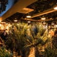 2-4-1 Networking Events in Private Member Clubs!