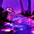 Sinestesia: una experiencia gastronómica multisensorial en Madrid