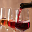 Plan B Lounge Organic Wine Tasting with Indian Street Food