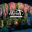 Valentine’s Special: Monet with Live Music