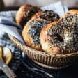 ﻿Haz tus propios Bagels & Spreads - Miami