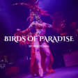 Birds of Paradise by Nocturna