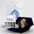 Pack de 4 cervezas La Cibeles + camiseta + abridor + bolsa, ¡a domicilio!