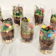 ﻿Edible Terrarium