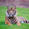 Visita a Bioparc Fuengirola: ¡julio de animales!