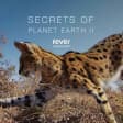 Win 2 Tickets to Secrets of Planet Earth II