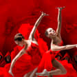 Carmina Burana à la Halle Tony Garnier