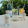 Explorando Sabores: Cata de Ginebras Artesanales de Barcelona en Goja Rooftop