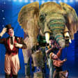 Circus 1903