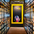 Photo Ark: a exposição da National Geographic!
