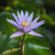Asignatura 12