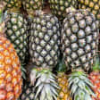 Fruta tropical 8