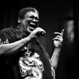 Fat Cat - Live Concert