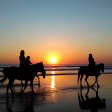 Private Horse Riding Experience at Red Sea