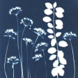 ﻿Cyanotype workshop: Art, Nature in blue. Exploring the legacy of Anna Atkins