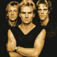﻿Una noche de Sting & The Police: Cena espectáculo tributo