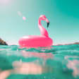 ¡Vaya calor! 12