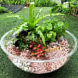 Terrarium Building Workshop at The Sundowner Rooftop