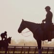 ¡Aprende a montar a caballo!