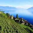 Découverte de la riviera suisse avec croisière en option