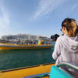 Yas Bay Speedboat Tour (45 Minutes)