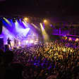 Disco 2021: A Britpop Brass Odyssey