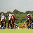 House of Polo au Polo de Chantilly