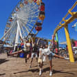 Incredible Santa Monica Photo Experience