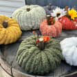 Chunky Yarn Pumpkin Craft Workshop