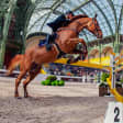 Saut Hermès - Dimanche
