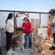 Husky House: Relajarse con perros.