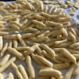 Pasta Al Sud: The Art of Southern Italian Water-Based Pasta
