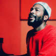 What's Going On? Marvin Gaye Musical Tribute