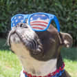 ROCK White & Blue!: A Rockin' Celebration of Liberty Under the Stars  at The Alexander