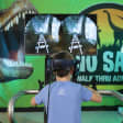 Dino Safari: A Walk Thru Adventure Boston