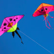Festival Cerf-Volants 2020 à Houlgate & Village normand