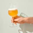 The Virtual Beer Festival - Los Angeles