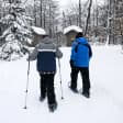 Awosting Falls Snowshoeing Trip and Hard Cider Day Trip