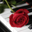 Valentines Moonlight Sonata by candlelight