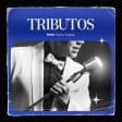 Tributos: Lo mejor de Camilo Sesto al aire libre