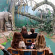 Visita ao Museu Interativo World of Discoveries sem filas