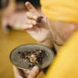 Food and the Five Senses: viagem alimentar e sensorial