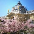 Visite guidée du Musée du Petit Palais
